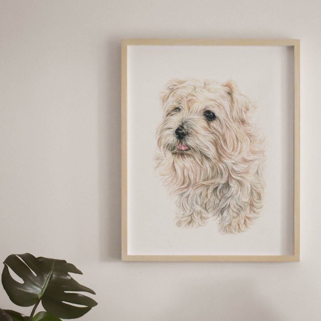Brynn Dog Portrait