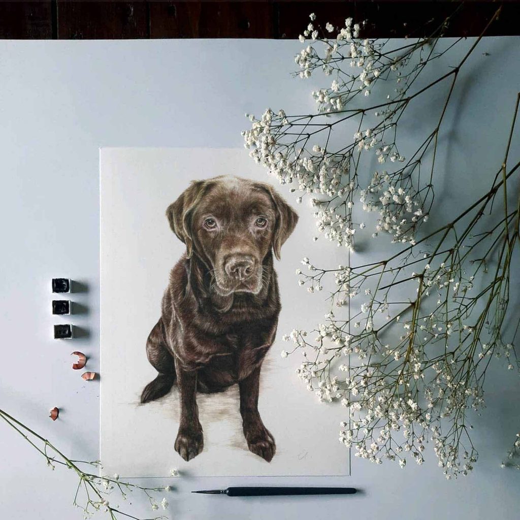 Dexter Dog Portrait
